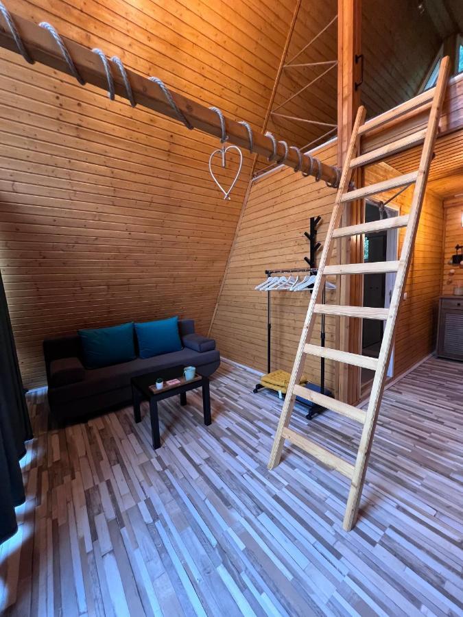 Cabane A-Frame Svinita エクステリア 写真