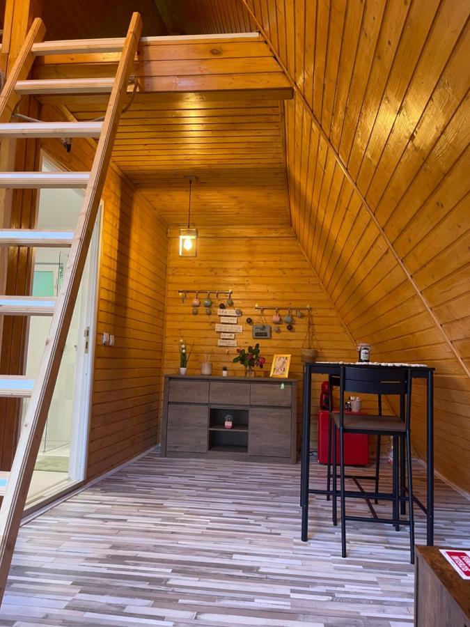 Cabane A-Frame Svinita エクステリア 写真