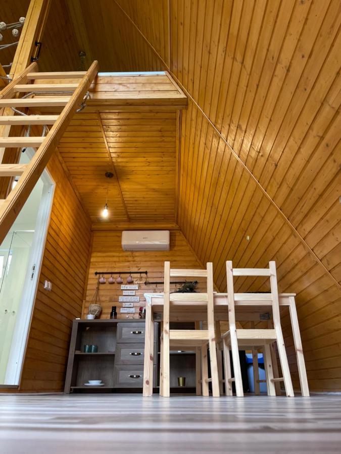 Cabane A-Frame Svinita エクステリア 写真