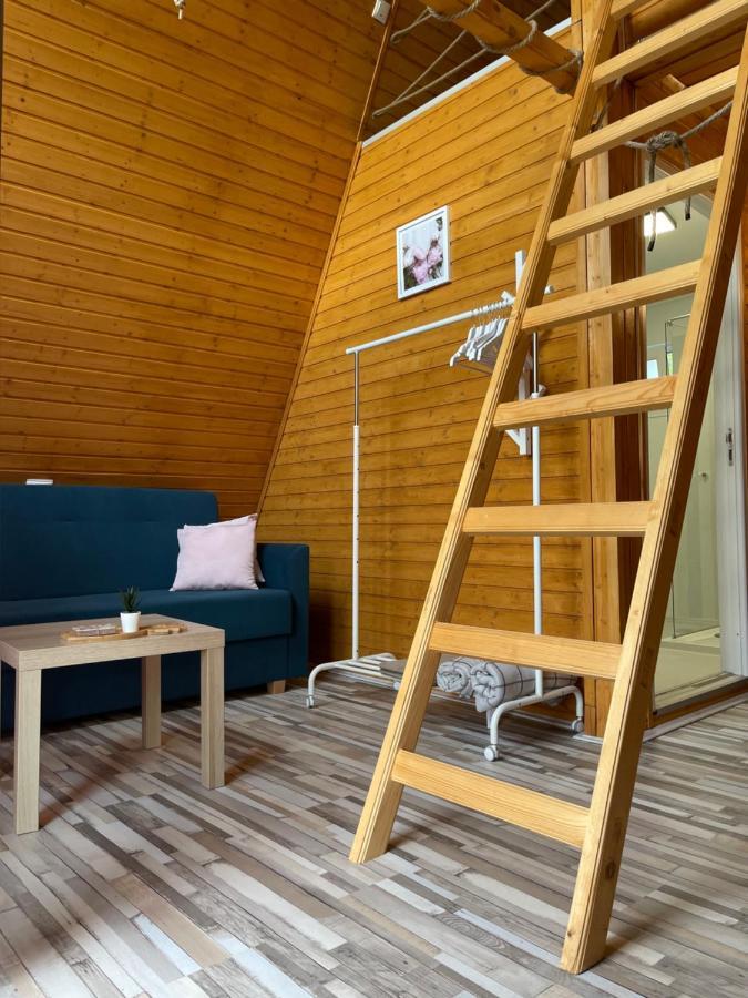 Cabane A-Frame Svinita エクステリア 写真