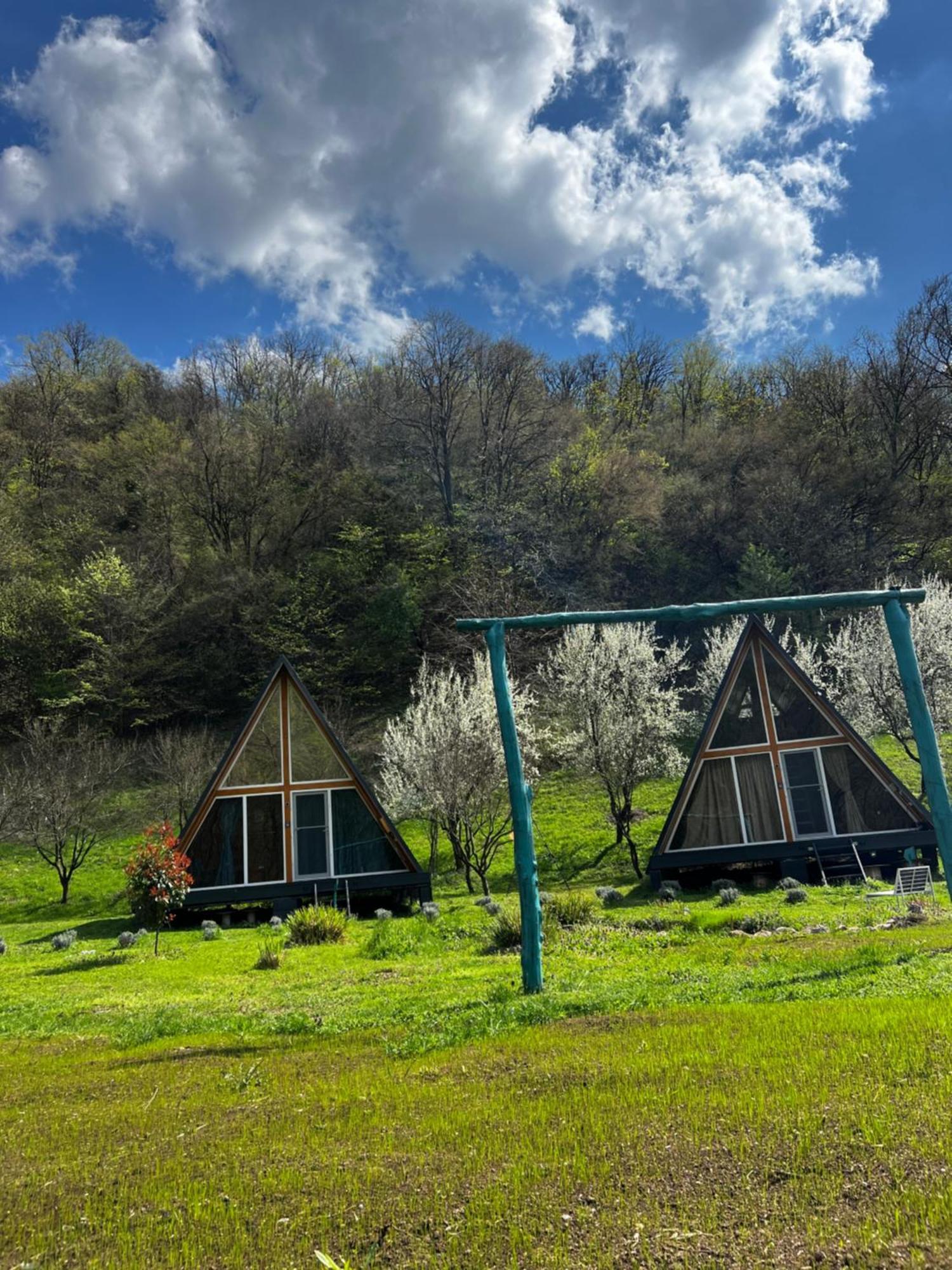 Cabane A-Frame Svinita エクステリア 写真