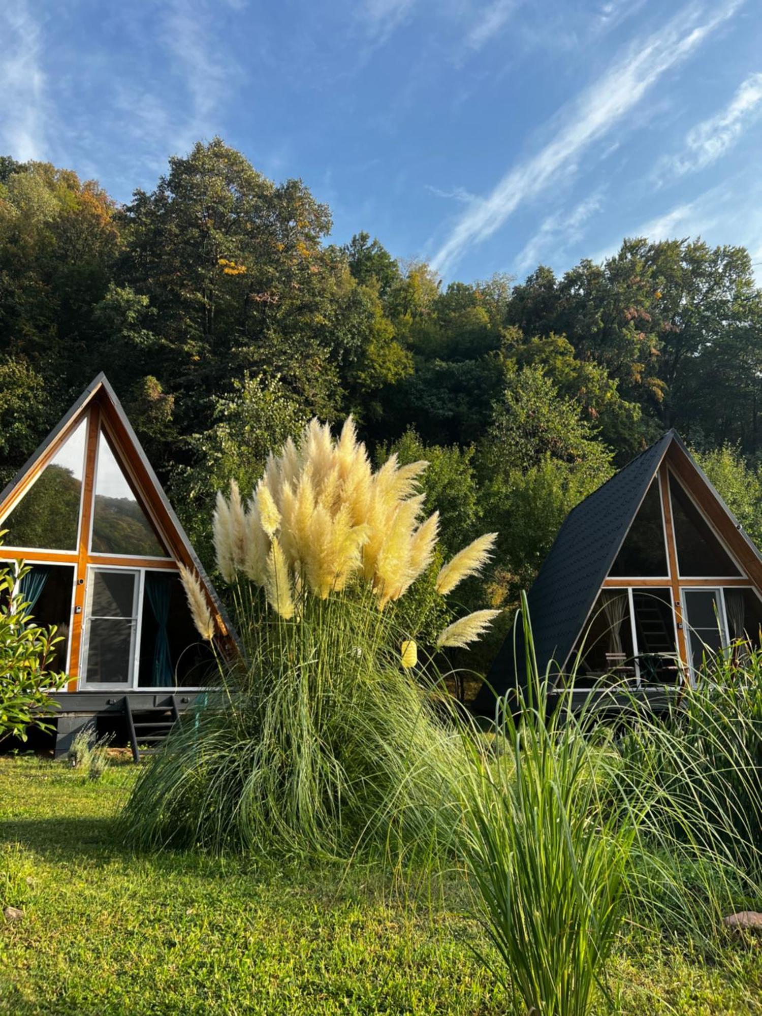 Cabane A-Frame Svinita エクステリア 写真