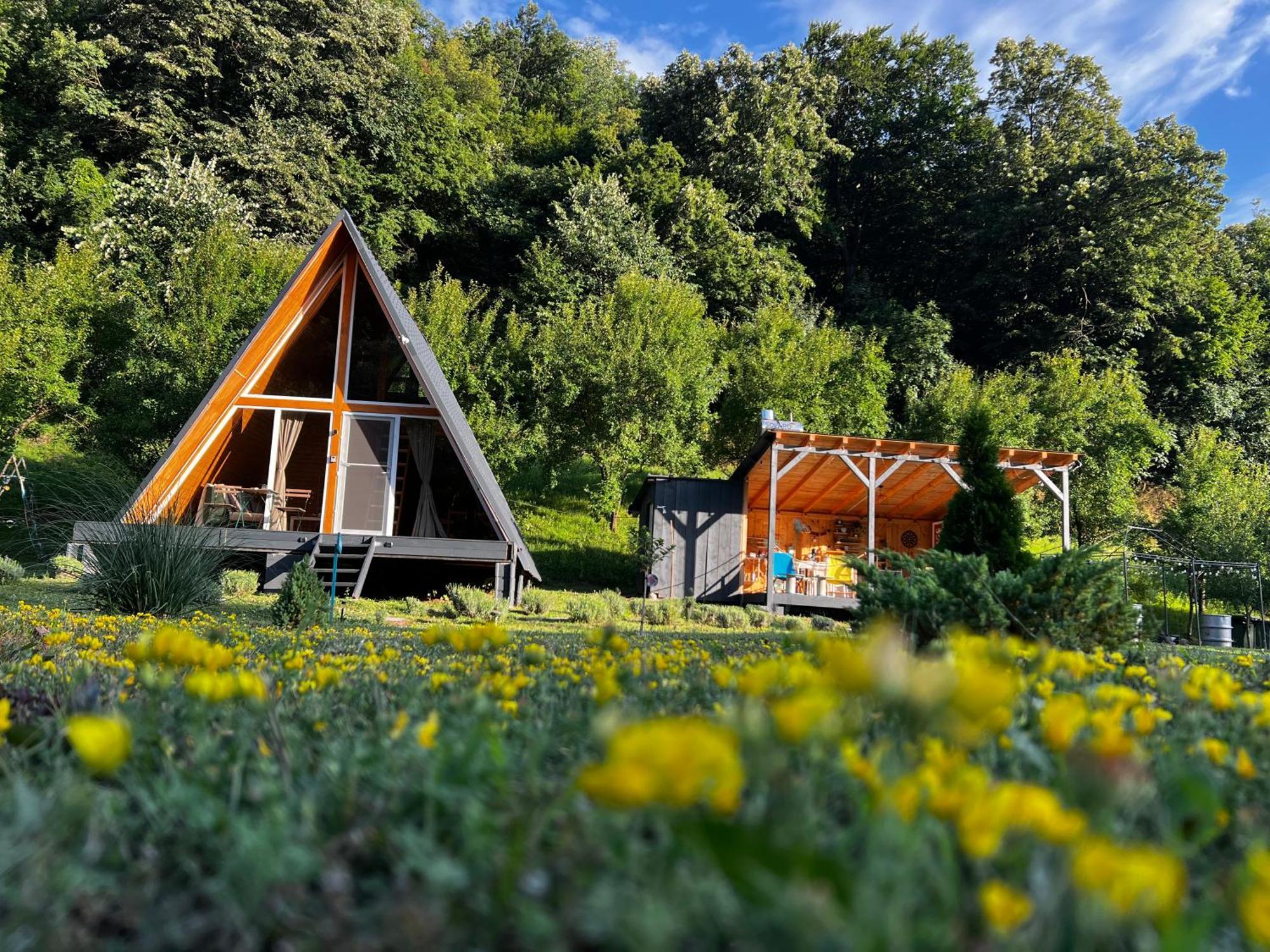 Cabane A-Frame Svinita エクステリア 写真