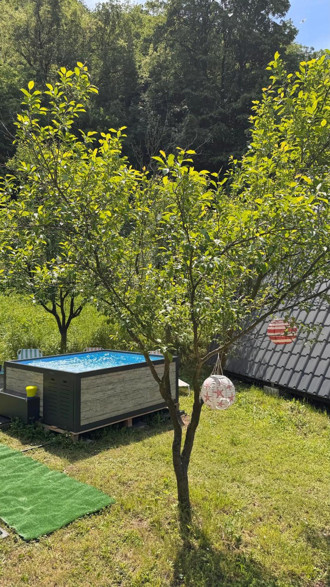 Cabane A-Frame Svinita エクステリア 写真