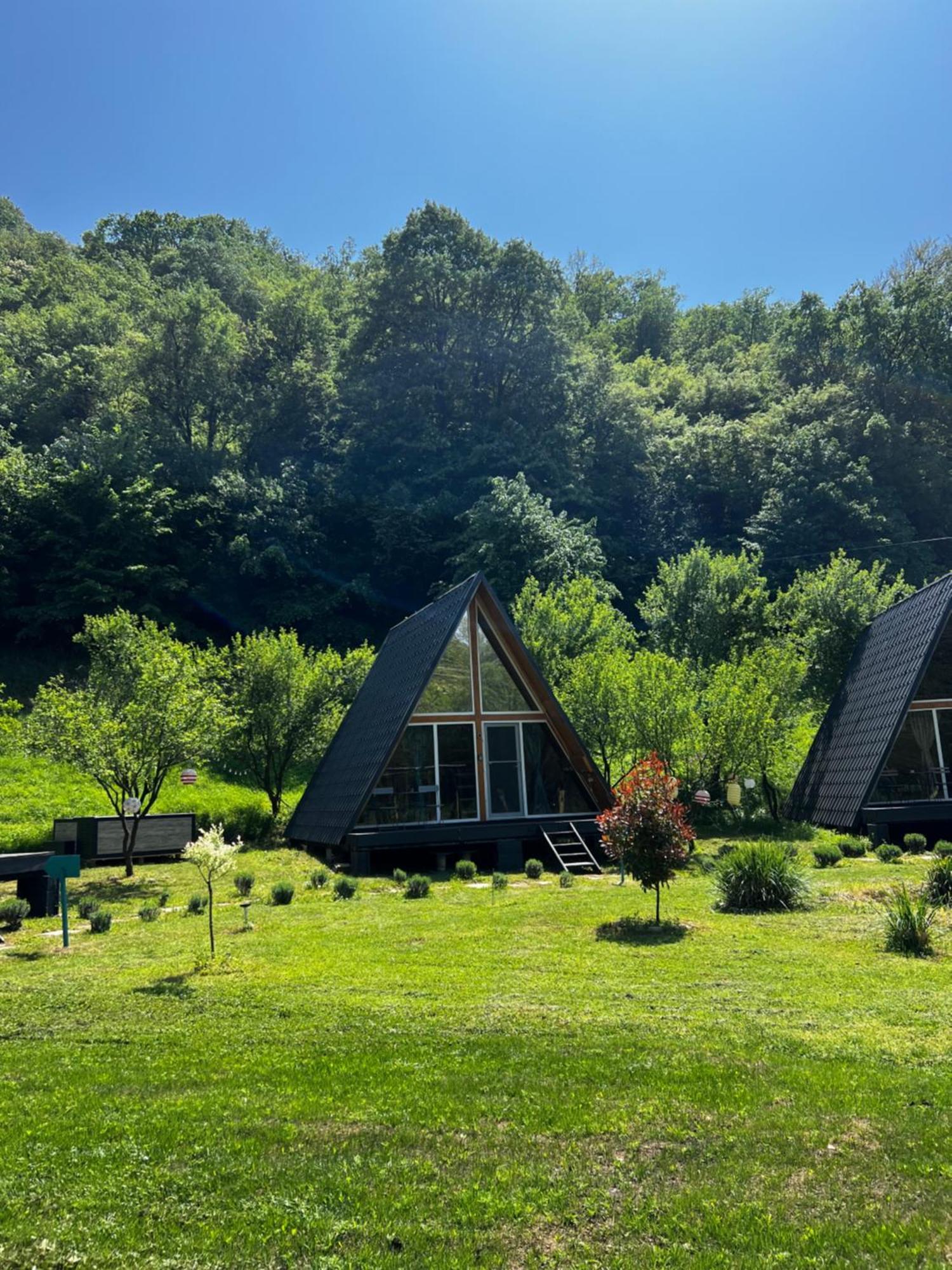 Cabane A-Frame Svinita エクステリア 写真